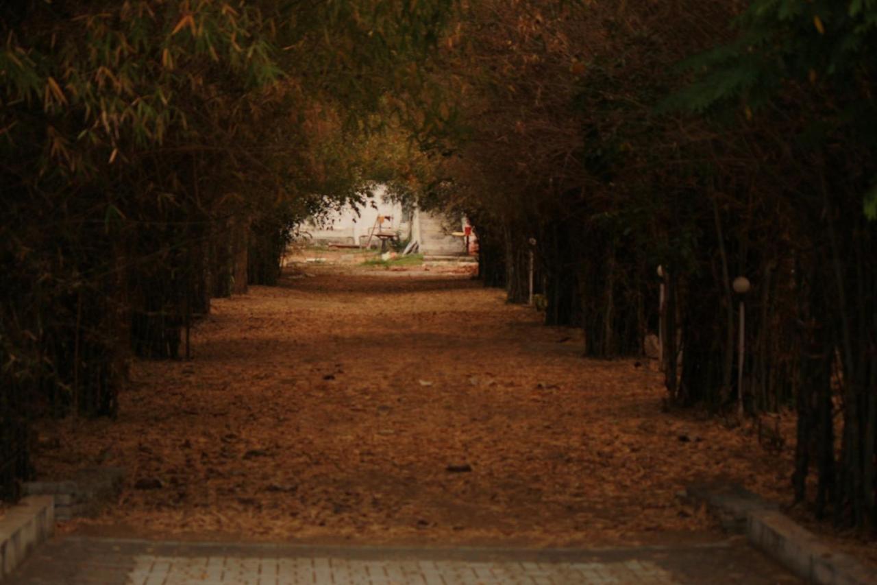 Vividearth Resorts Bandipūr Exterior foto